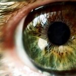 7 Ways to Prevent Cataract Naturally