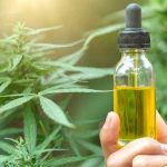The spectrum of CBD Oil is stretching itself towards the horizon of limitlessness