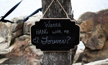 close view of wanna hang with me forever on tree