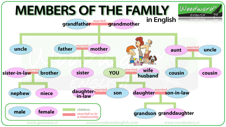 family members in english