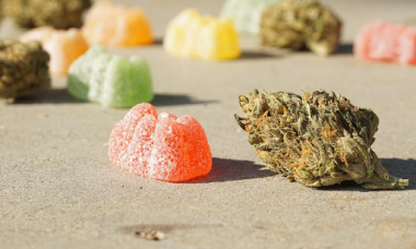 Weed Edible Consumption: A Safety Guide for Beginners