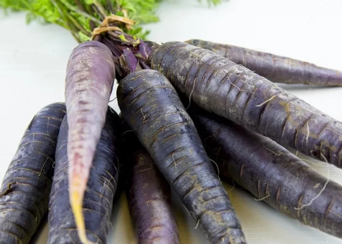 What is Black Carrot? How it is beneficial for health?