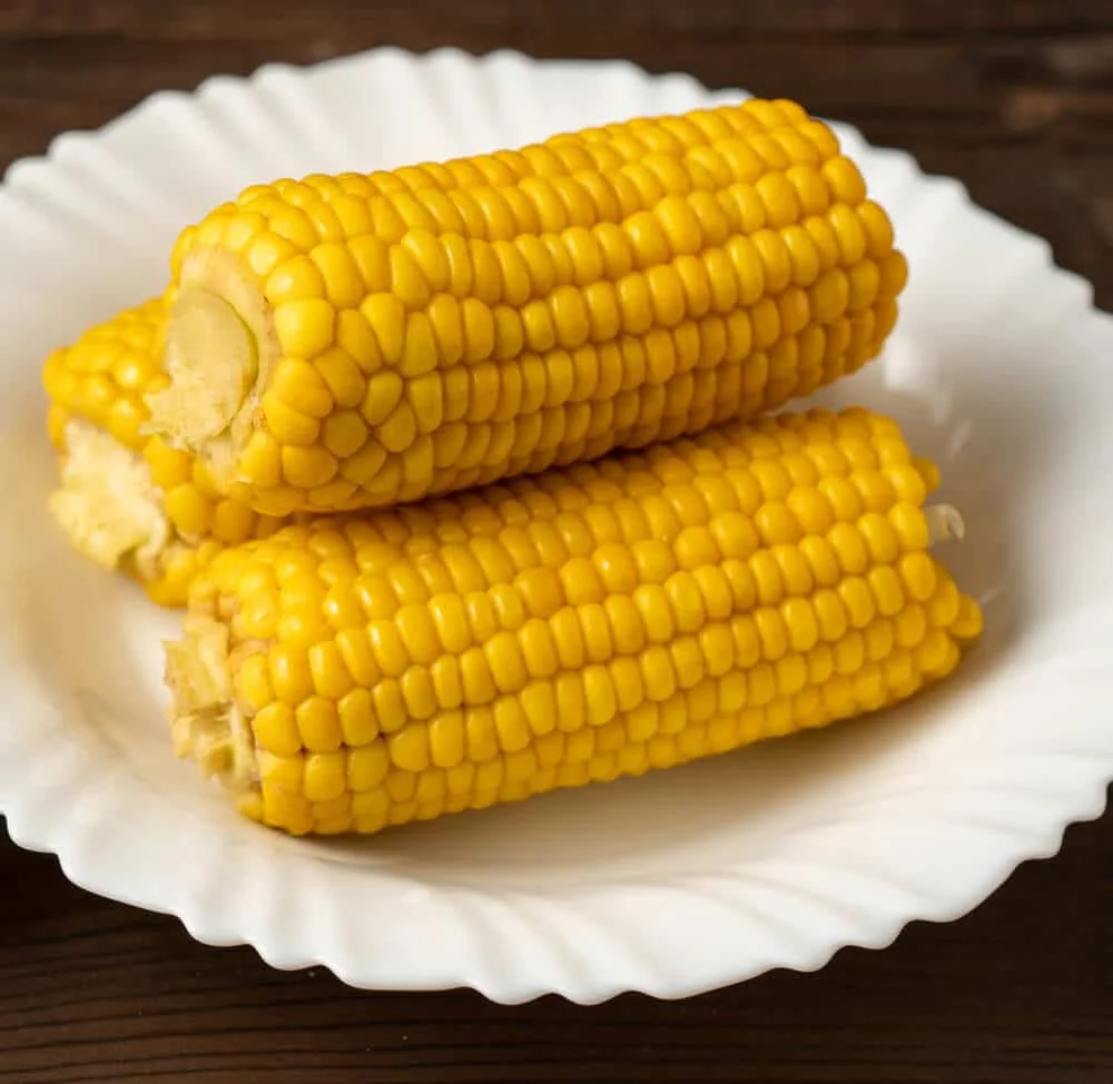 can-dogs-eat-sweet-boiled-corn
