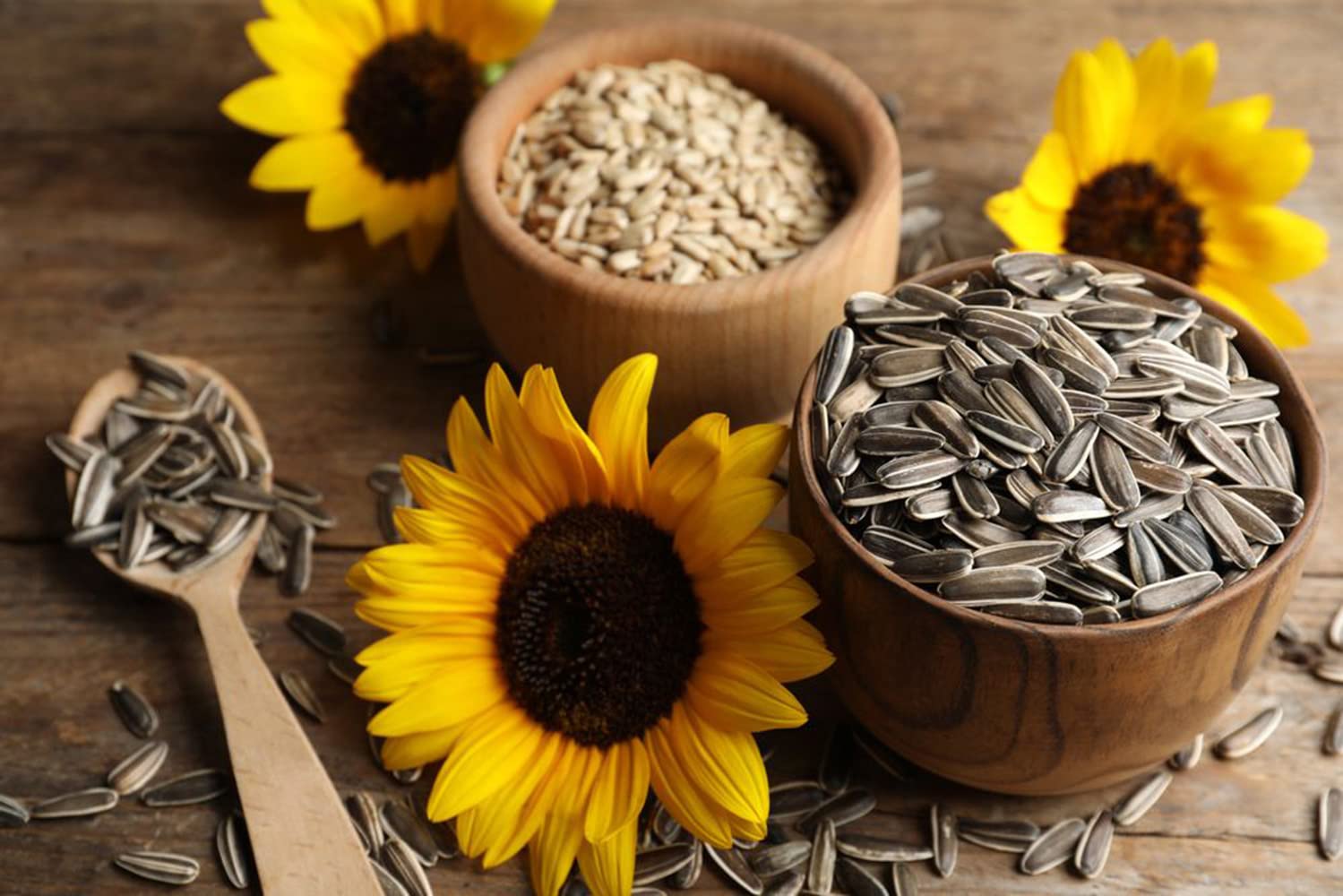 sunflower seeds amazon