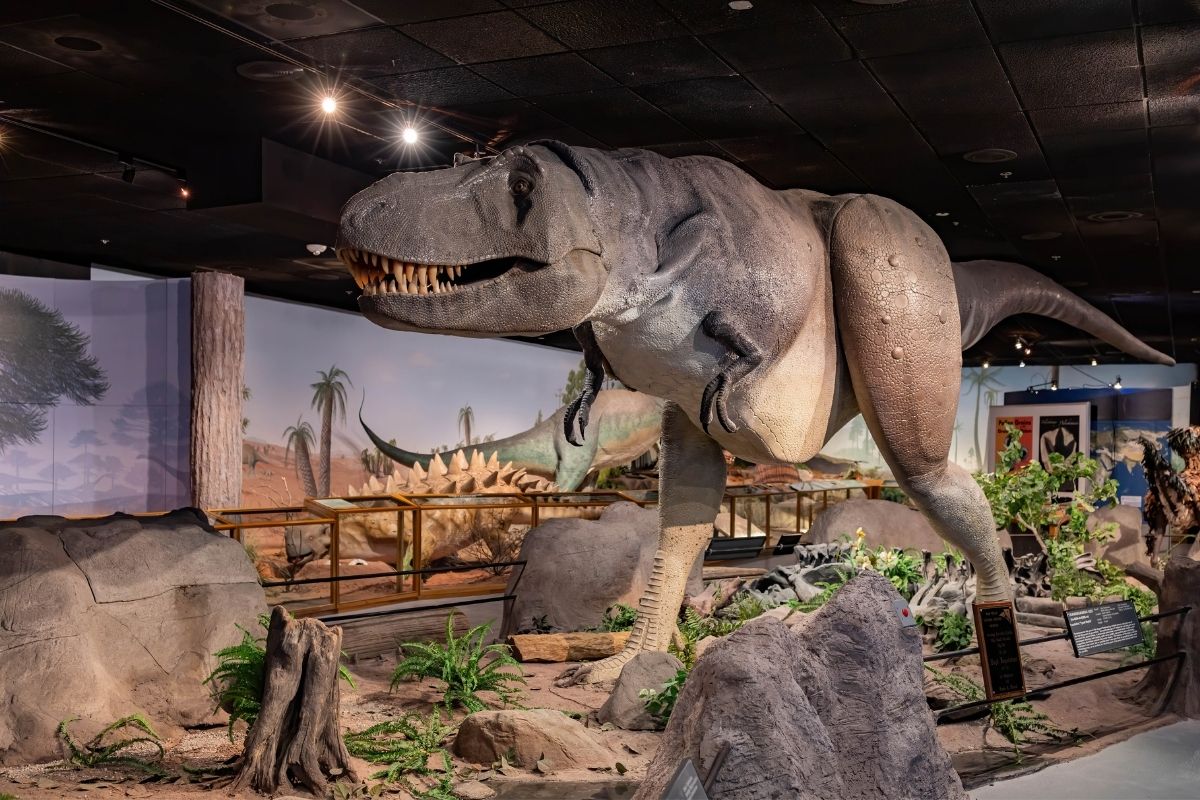 Natural History Museum, Las Vegas