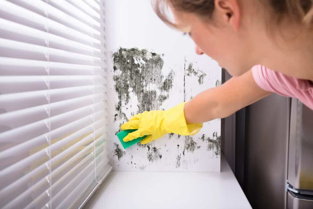 how to remove mold from walls