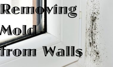 how to remove mold from walls