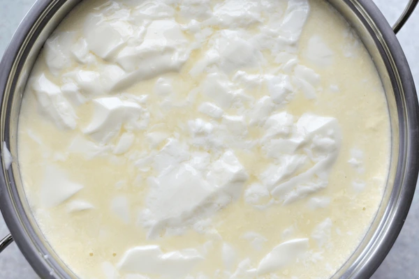 curdling milk for cottage cheese