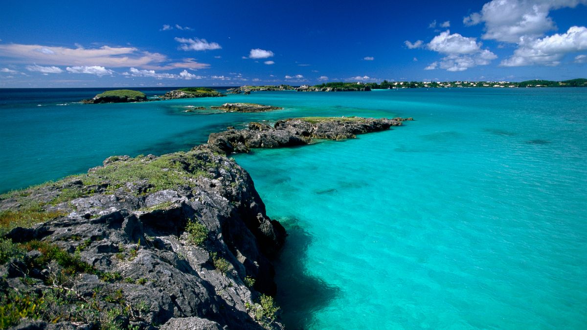 sargasso sea